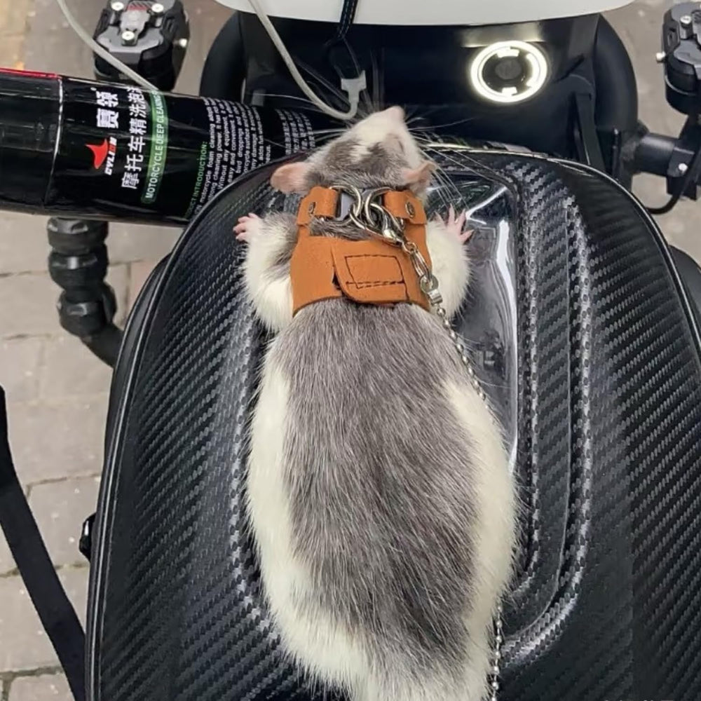 SEZDEKI anti bite chain adds safety during outdoor walks.