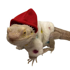 SEZDEKI bearded dragon hoodie adjustable Velcro front for easy dressing