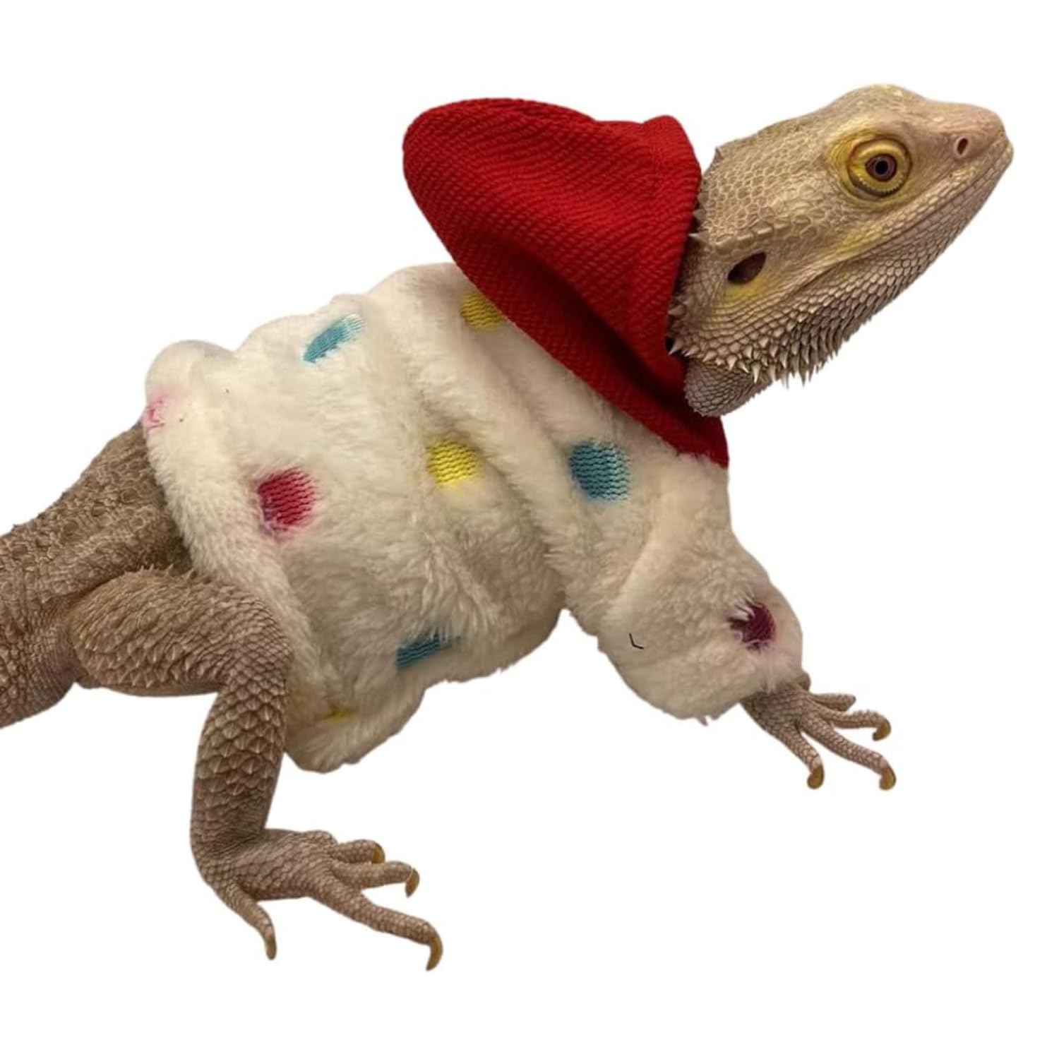 SEZDEKI bearded dragon hoodie size guide shows chest and back fit