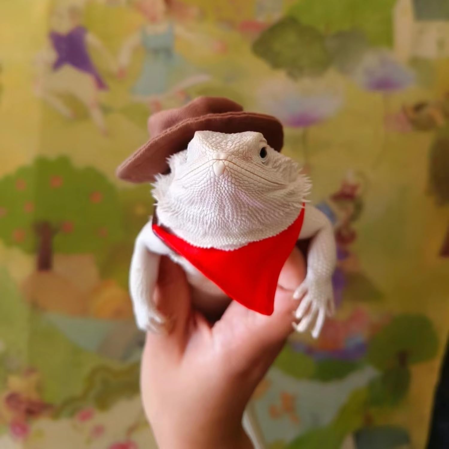 SEZDEKI Pet costume photo prop—eye-catching look for holiday shoots.