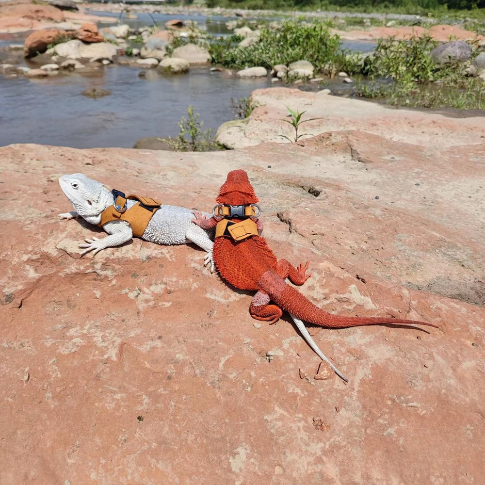 SEZDEKI harness fits various small animals with adjustable, snug design.