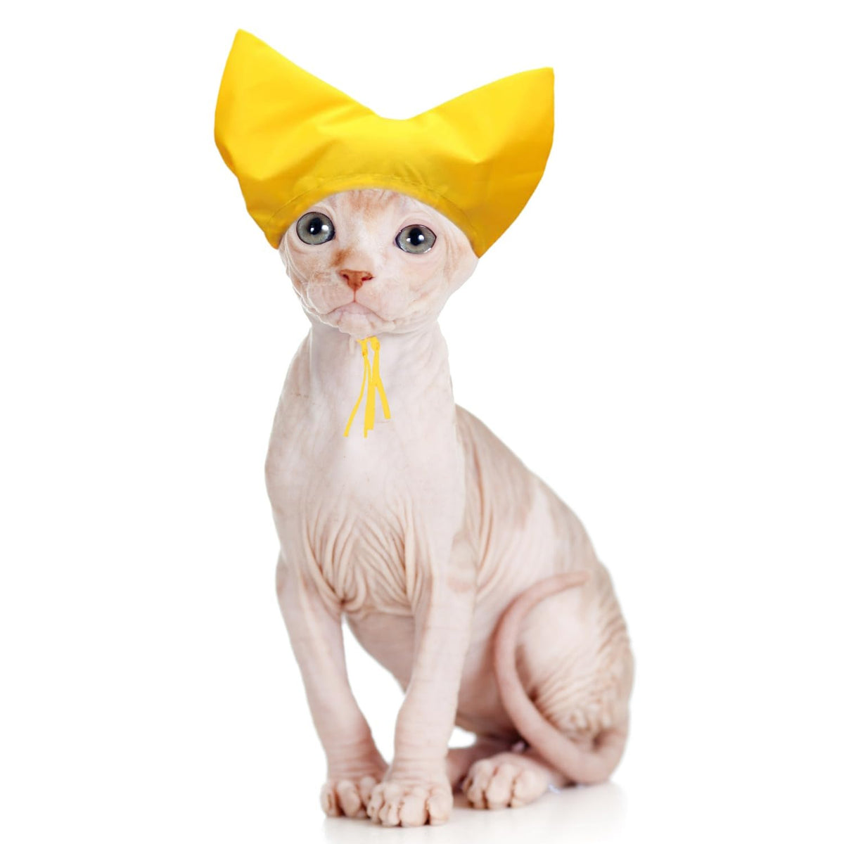 SEZDEKI pet shower cap yellow ear protection protects ears during bath time
