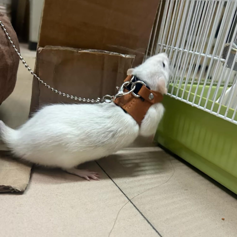 SEZDEKI small animal walking leash aids calm exploration.