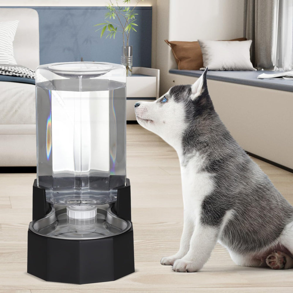 Sfozstra garage-garden placement shows versatile use for pets indoors and outdoors.