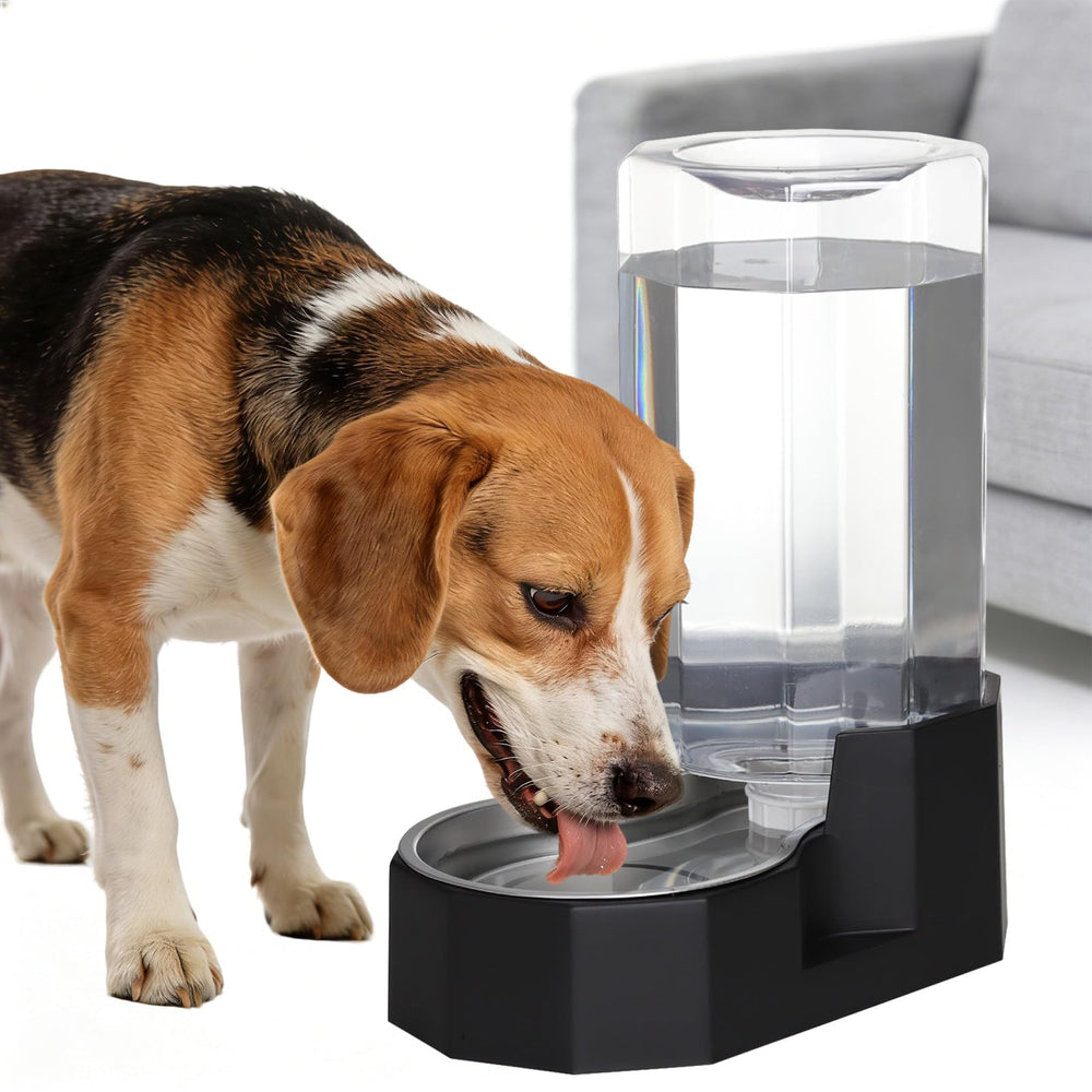 Sfozstra large dog water dispenser showing 8L capacity for constant hydration