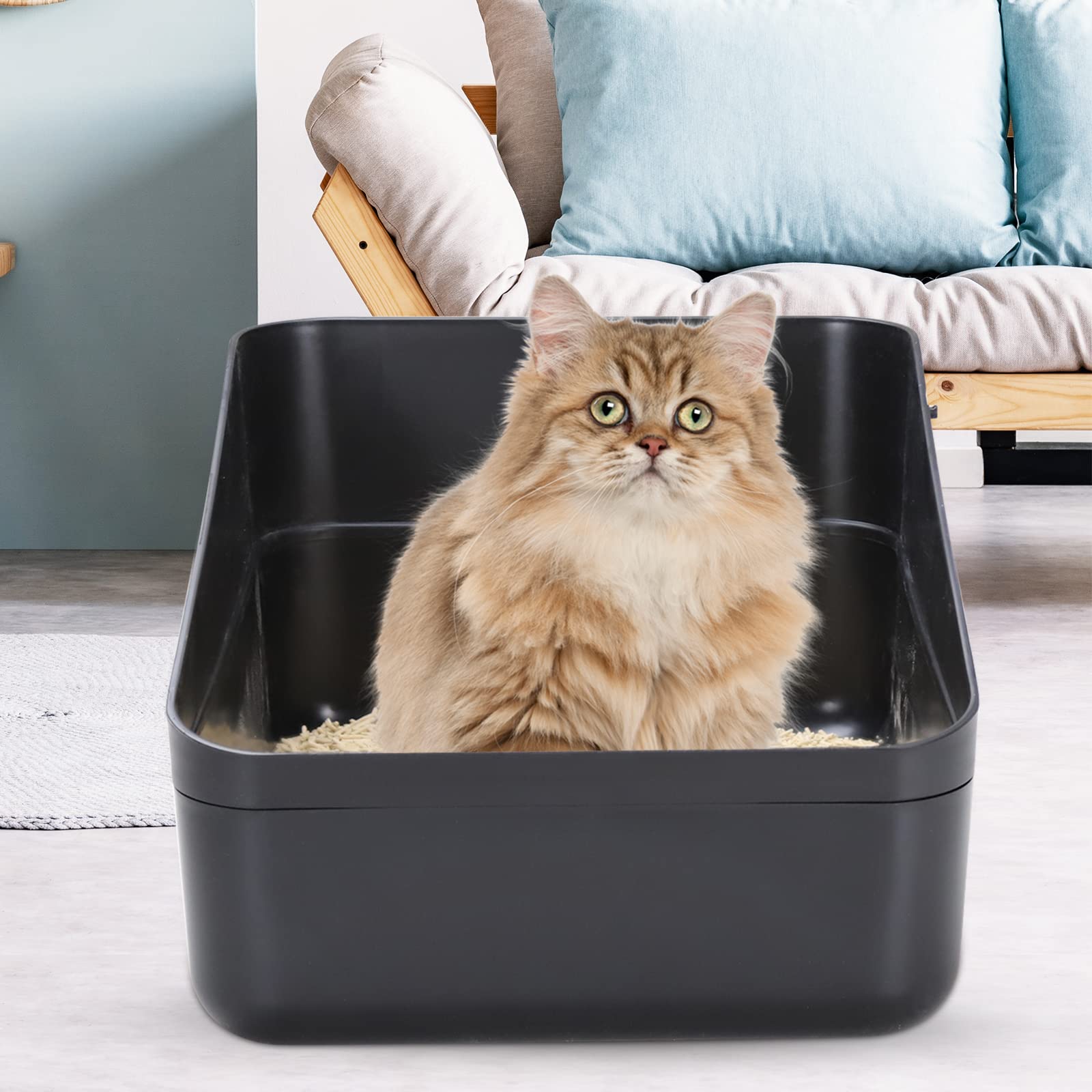 Sfozstra open-top litter box anti-leak design shown for mess prevention.