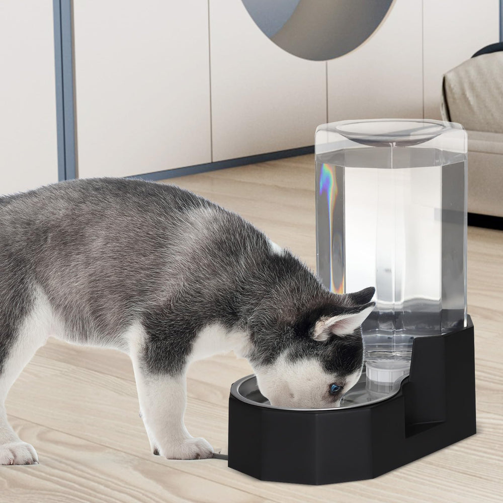 Sfozstra specialized brush aids thorough cleaning of the water bowl.