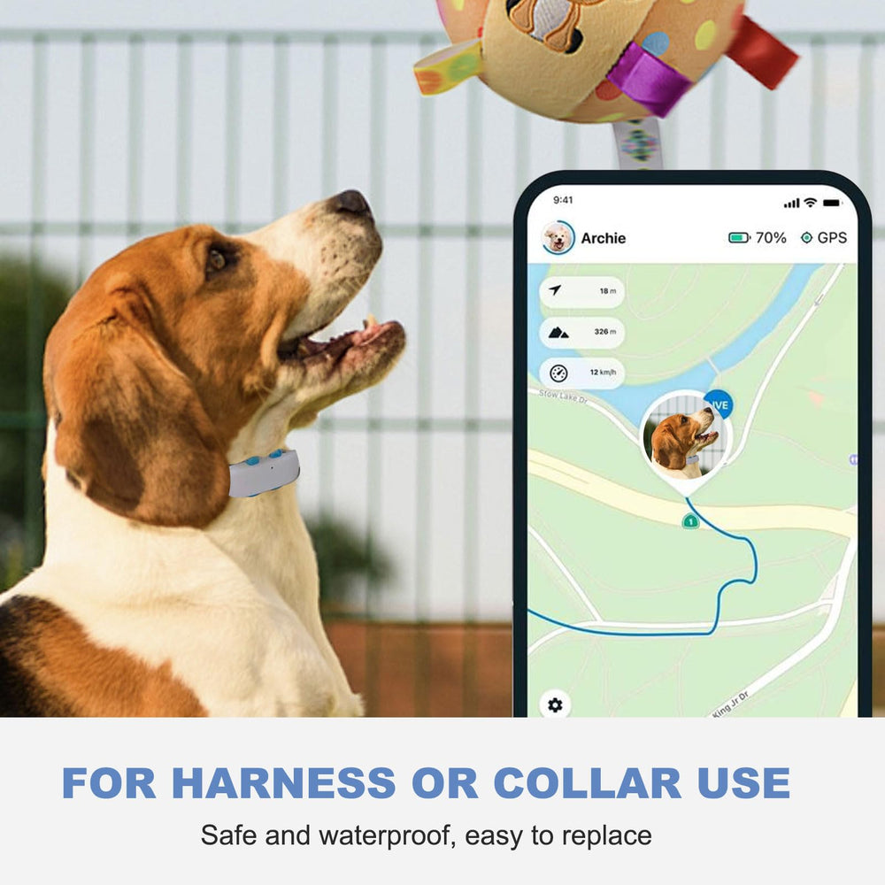 SGEOYPIL eco-friendly safety material supports pet-friendly daily use.