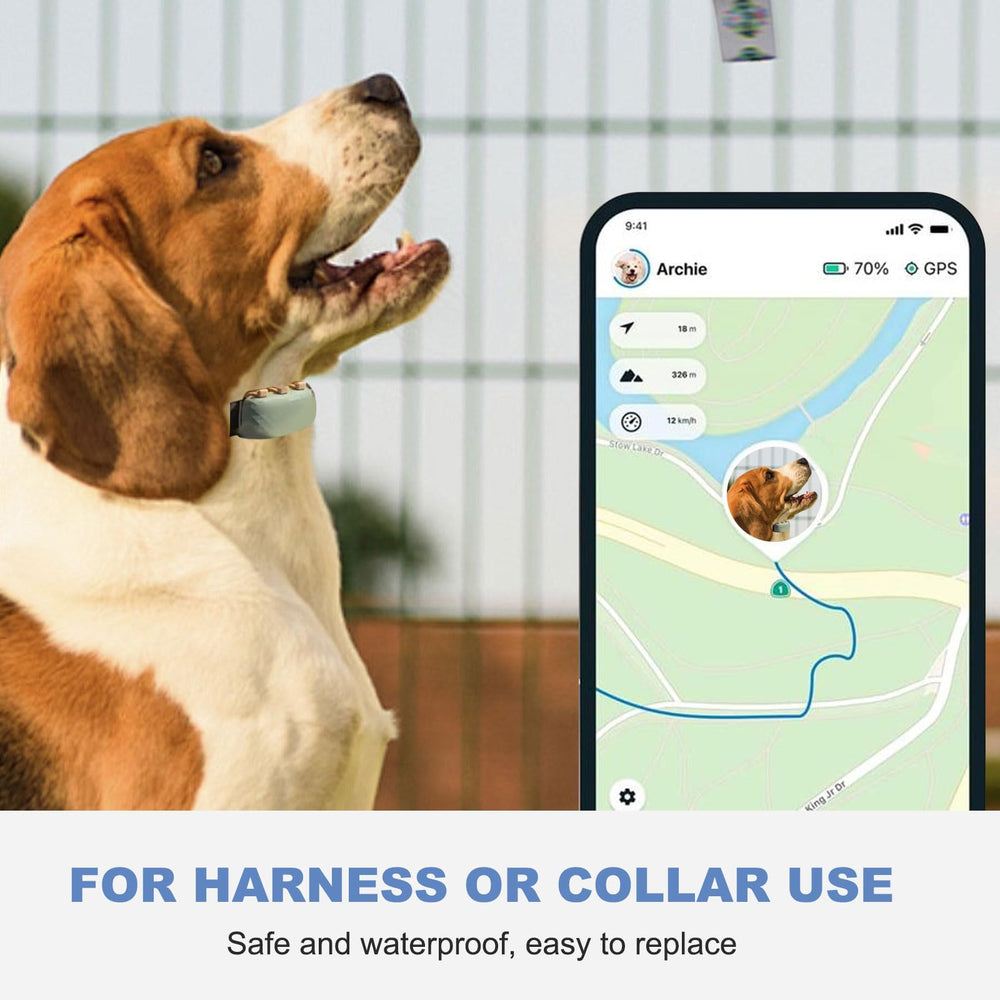 SGEOYPIL rubber material is pet-safe and odourless for comfort.