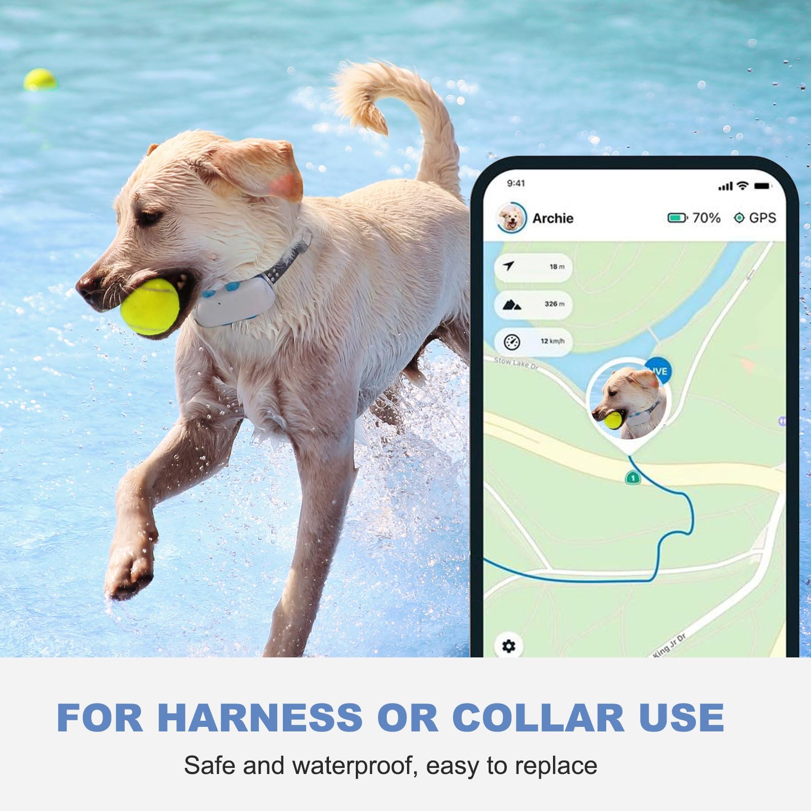 SGEOYPIL secure-fit clip on a fast-moving dog demonstrates reliable tracking attachment.