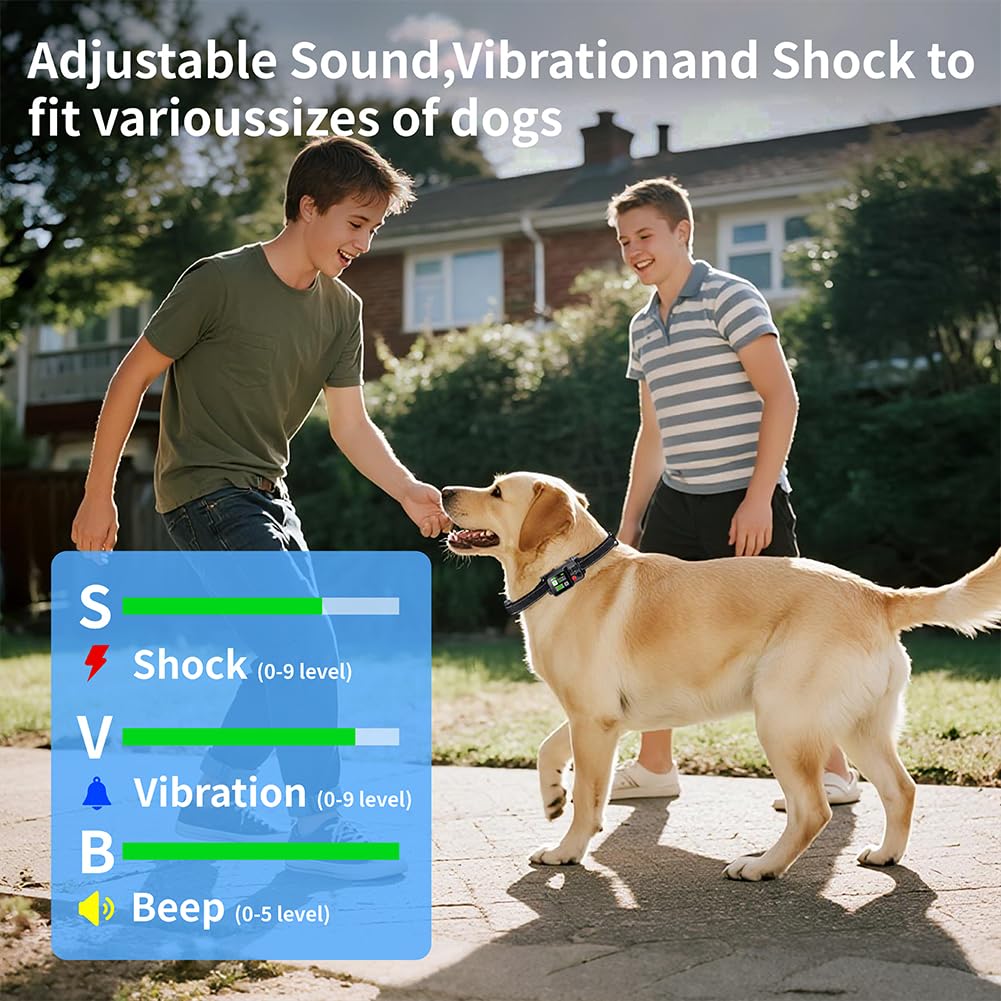 Sglyq GPS dog fence training modes demonstrating beeps, vibrations, and corrections.