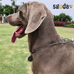 SGODA chain collar laid flat, 304 stainless steel resists tarnish for long-lasting use.