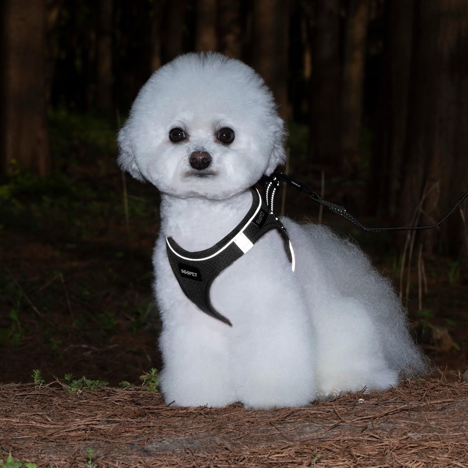 SGSPET adjustable straps harness offers a perfect fit for many sizes