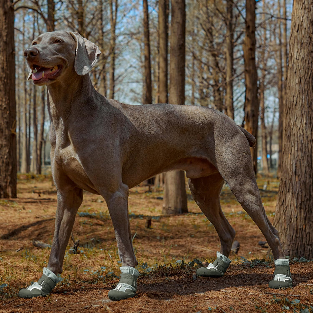 SGSPET dog shoes reflective strips enhance nighttime visibility during walks.