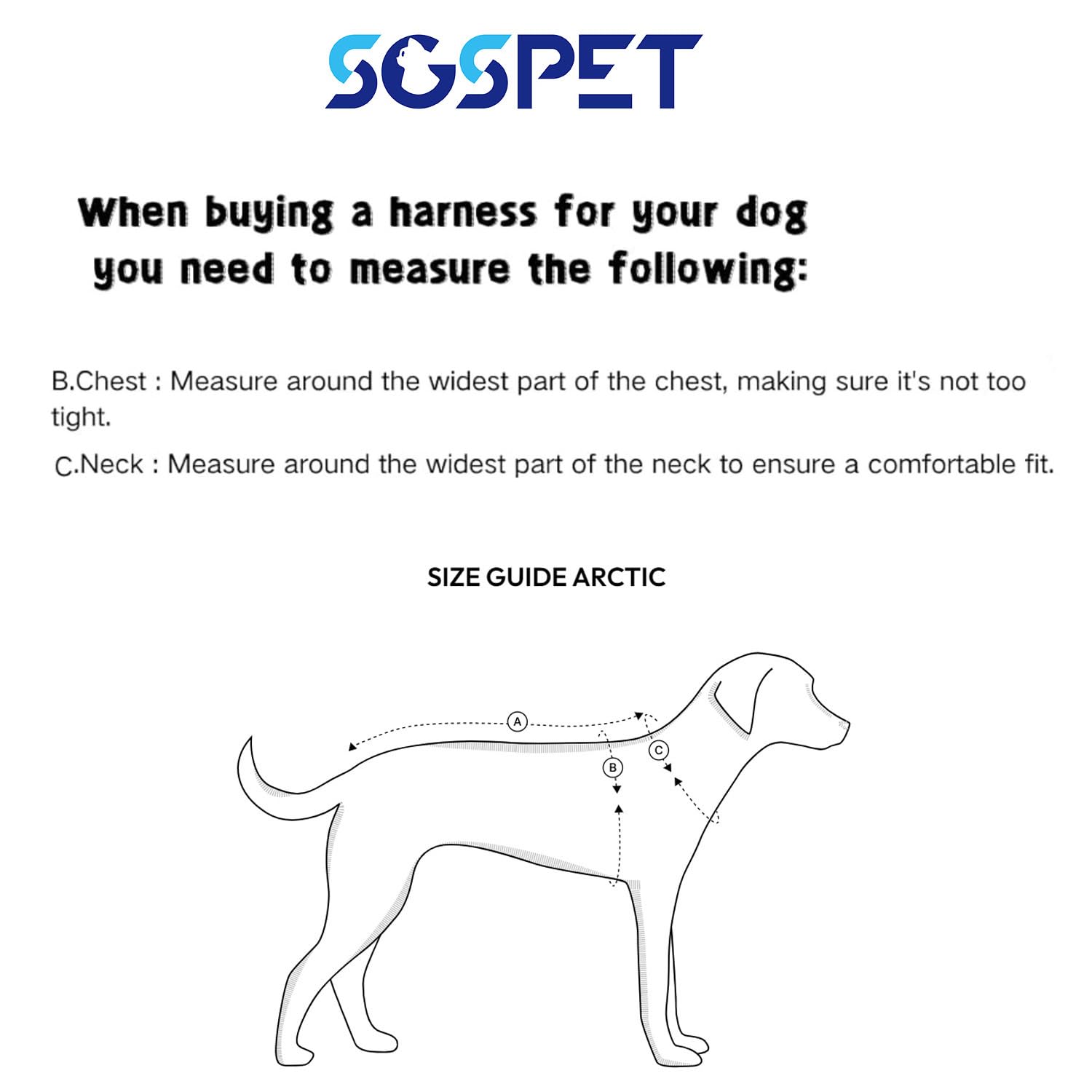 SGSPET harness in-use during walking shows secure fit and easy handling