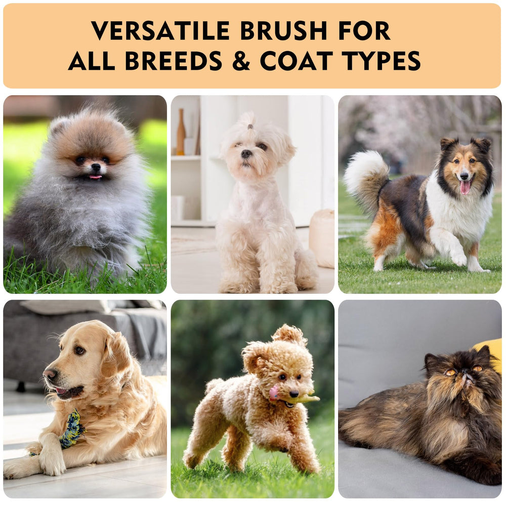 SGSYRYCO short-haired cat brush ideal for quick, gentle touch-ups.