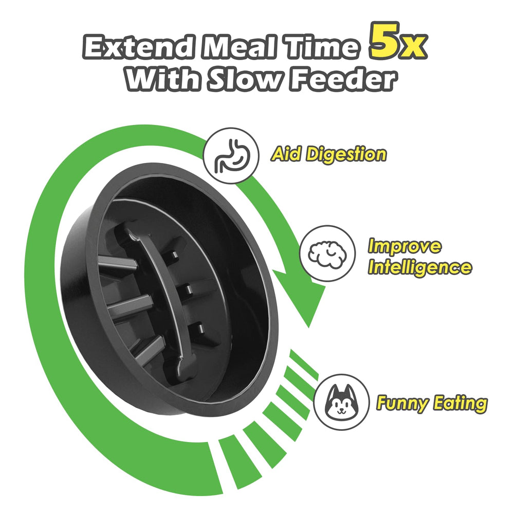 SHAINFUN easy 5-minute assembly showing setup with bowls and mat