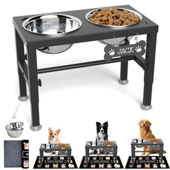 SHAINFUN elevated dog bowls with mat front view showing stable stand and tidy feeding area