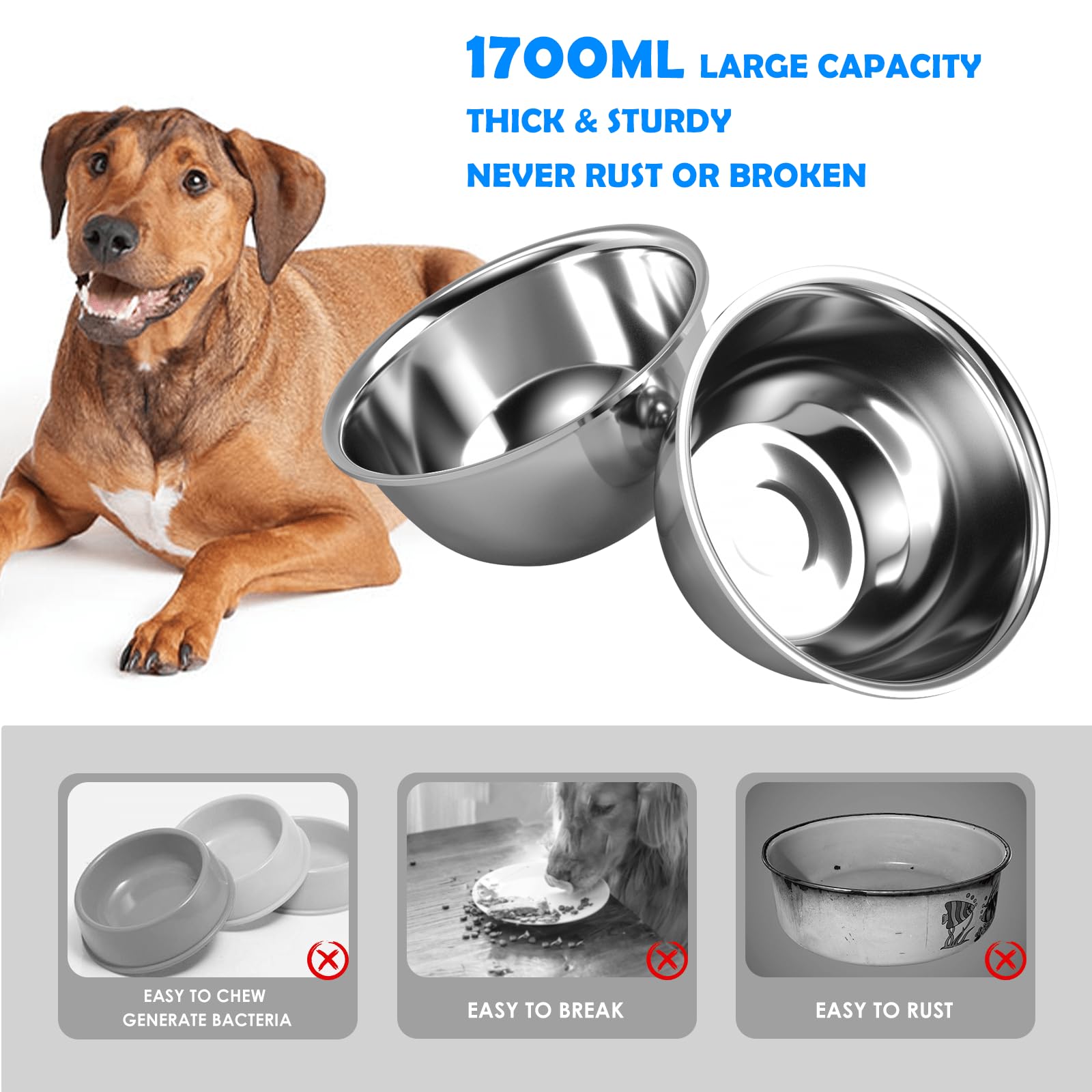 SHAINFUN sturdy metal stand remains stable during meals with dogs