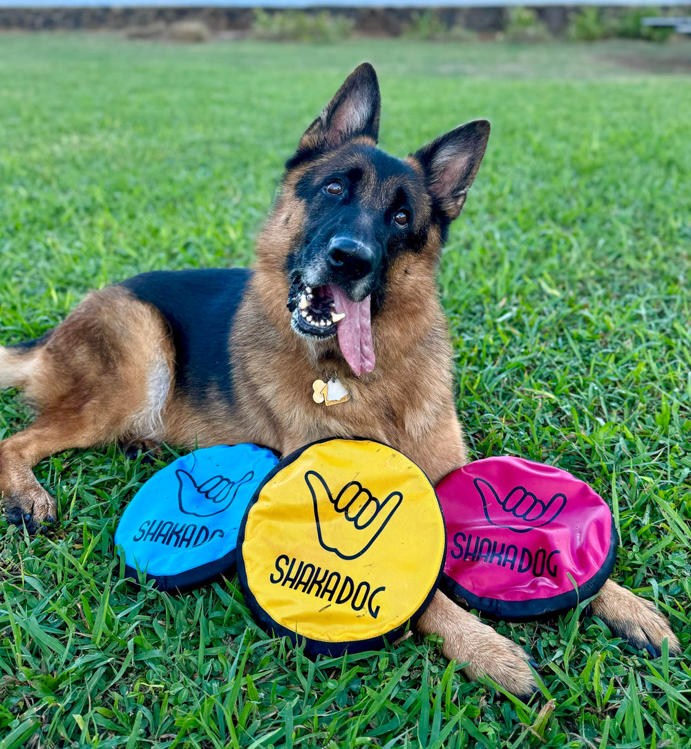 Shaka ZippyToss easy-grip rim supports secure throwing and catching.