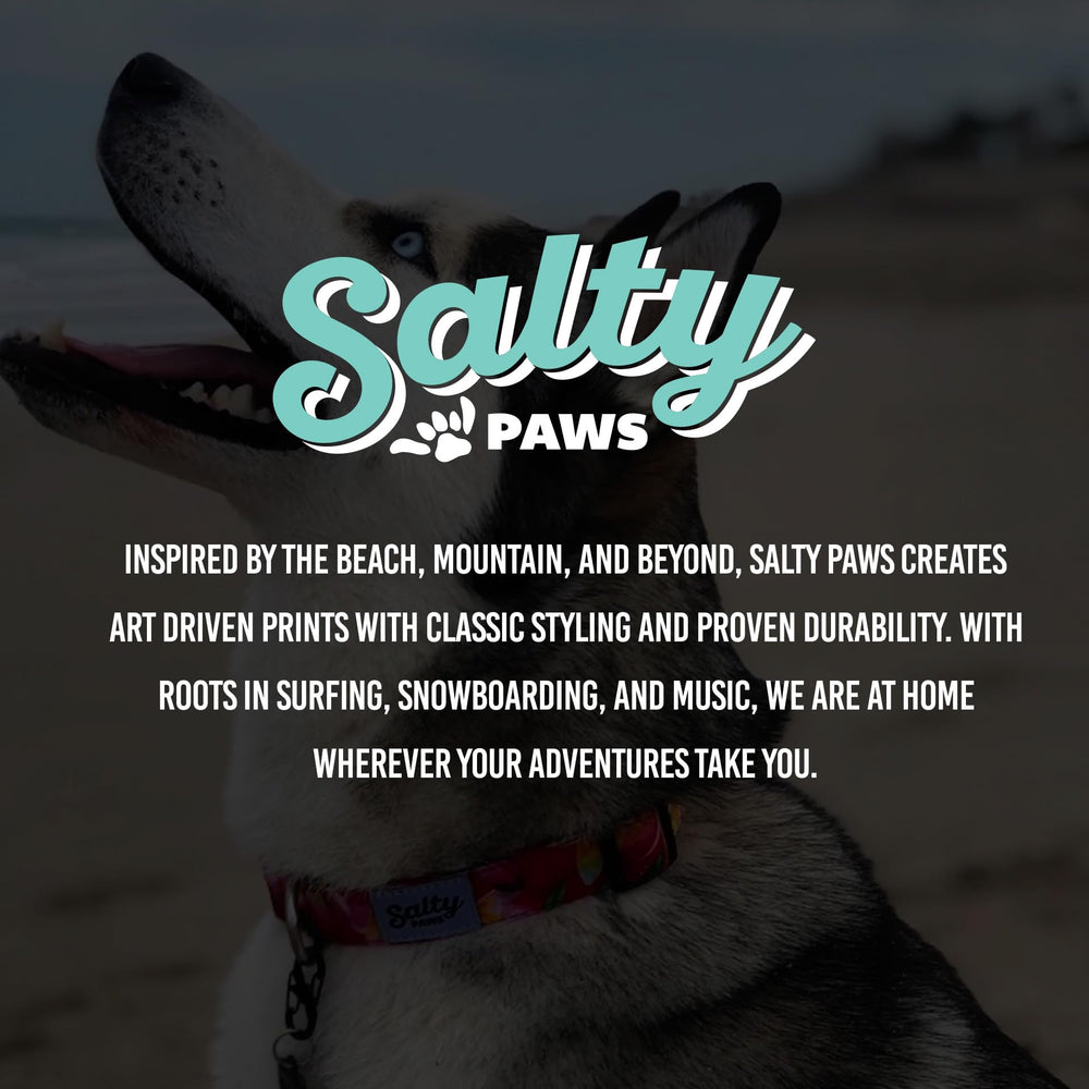 Shaka's Salty Paws dog collar red buckle close up quick release for easy handling