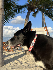 Shaka's Salty Paws dog collar red hibiscus print close up bright beach ready look