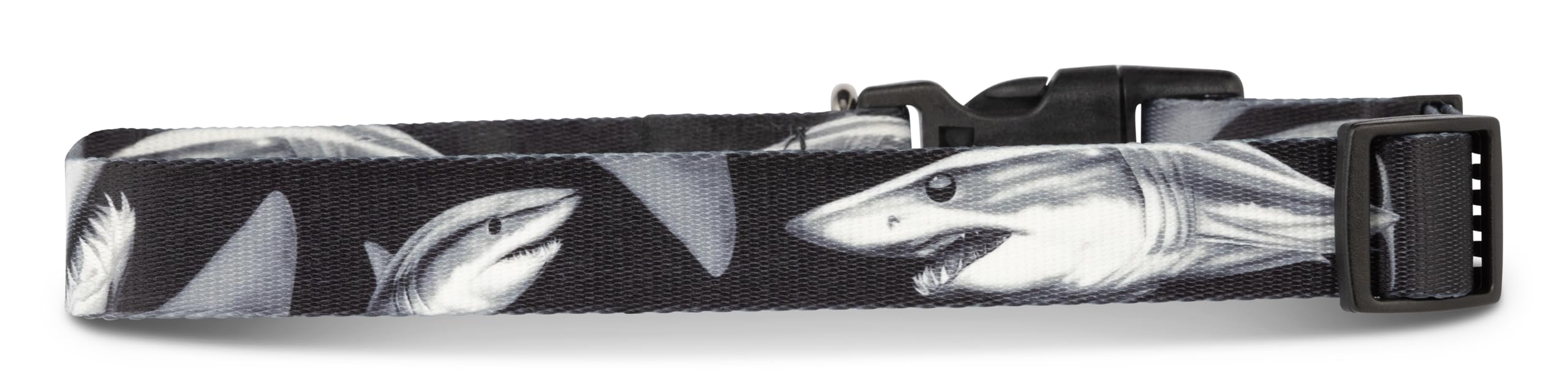 Shaka's Salty Paws fish-print collar for outdoor play and swimming