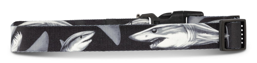 Shaka's Salty Paws fish-print collar for outdoor play and swimming