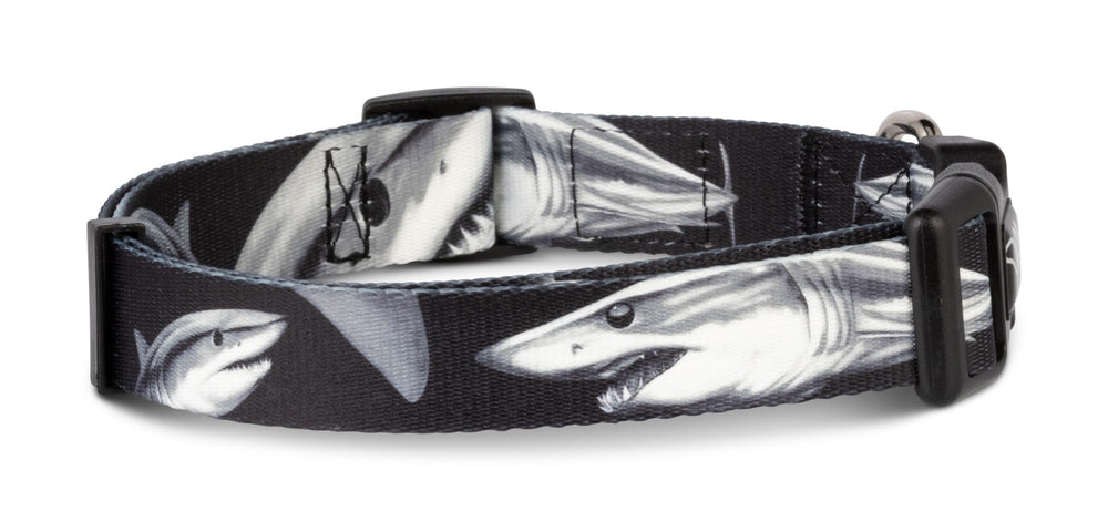 Shaka's Salty Paws Hawaiian collar bright in sunlight for tropical adventures