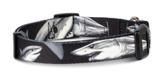 Shaka's Salty Paws Hawaiian collar bright in sunlight for tropical adventures
