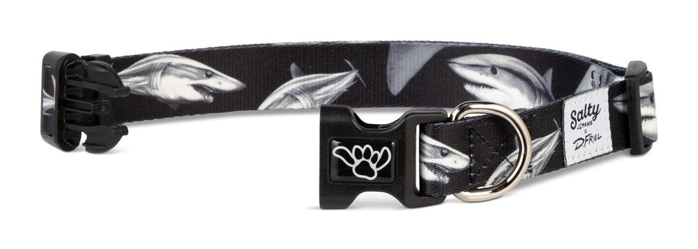 Shaka's Salty Paws surfing collar on a dog during coastal excursion