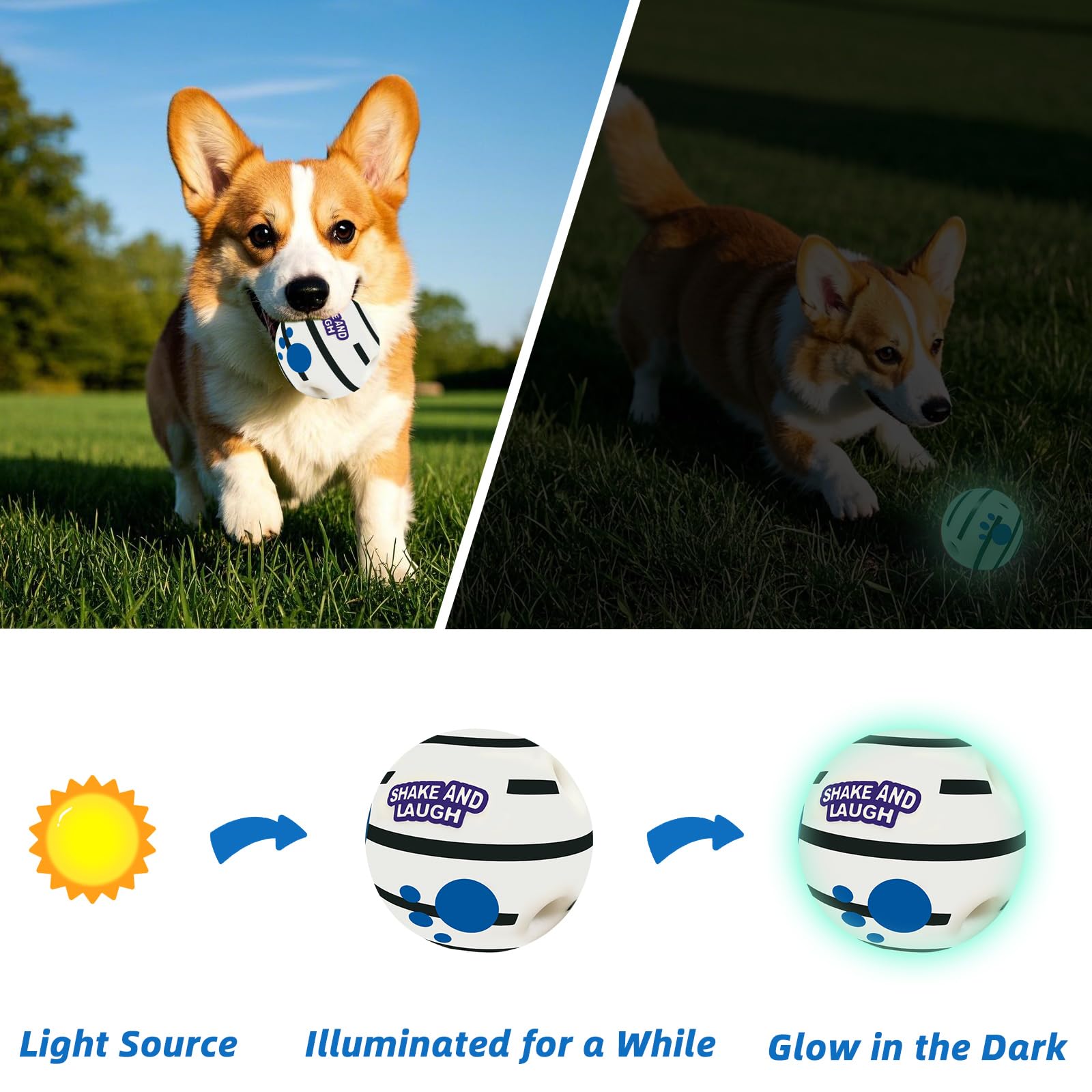 SHAKE AND LAUGH dog toy ball in use during rolling and shaking fun.