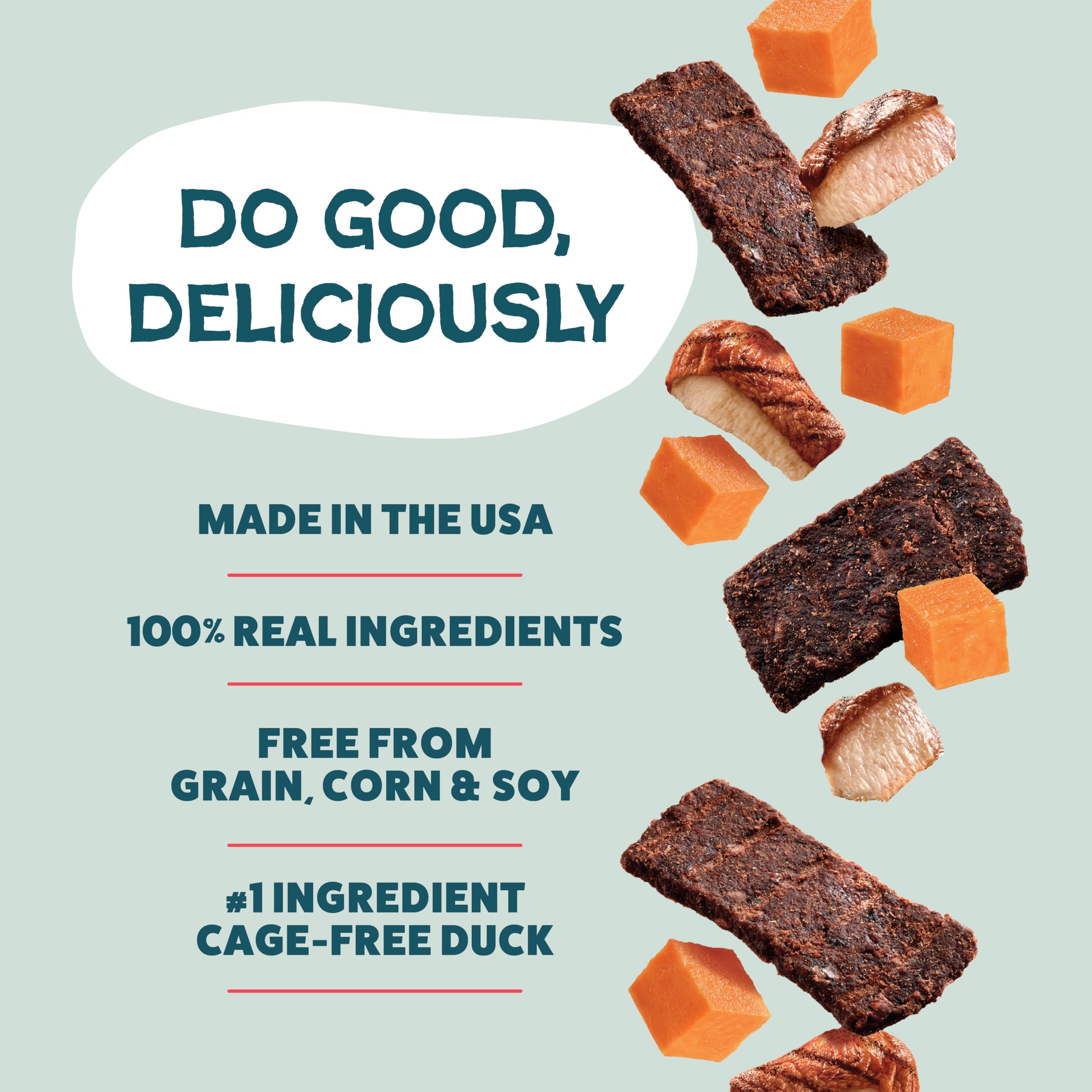 Shameless Pets Duck-Tato dog enjoying a treat during training or play.