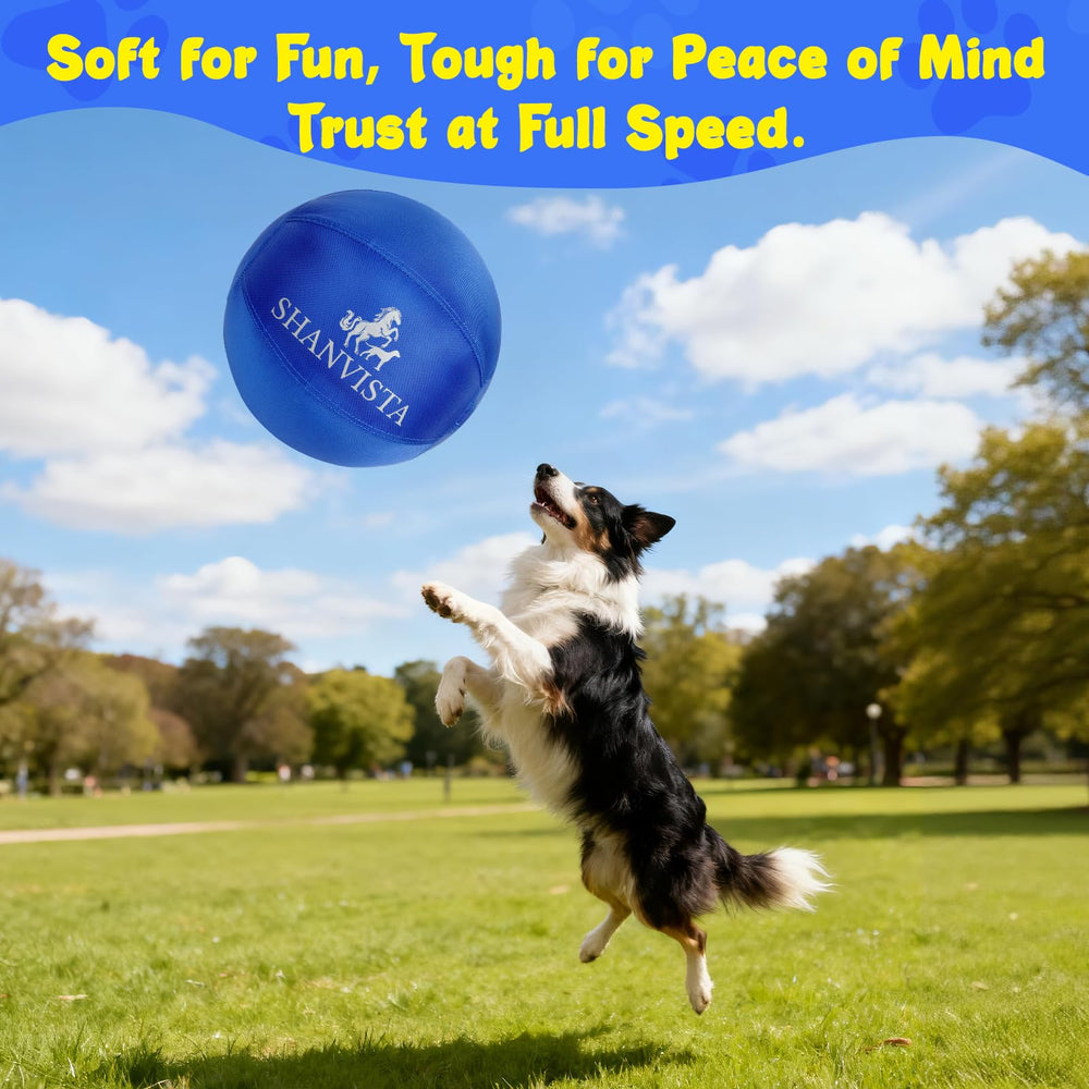 SHANVISTA 22-inch Herding Ball blue cleanup shows easy hose wash.