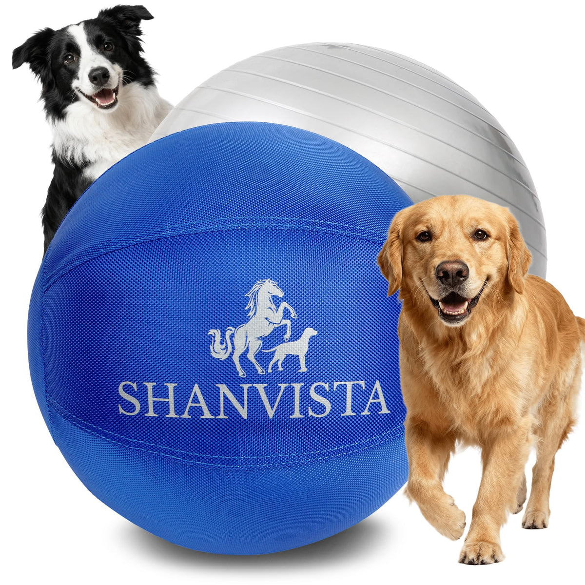SHANVISTA 22-inch Herding Ball blue front view promotes active play and focus.
