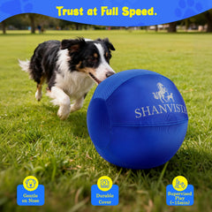 SHANVISTA 22-inch Herding Ball blue material closeup highlights tear-resistant surface.