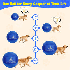 SHANVISTA 22-inch Herding Ball blue side view shows durable construction for tough sessions.