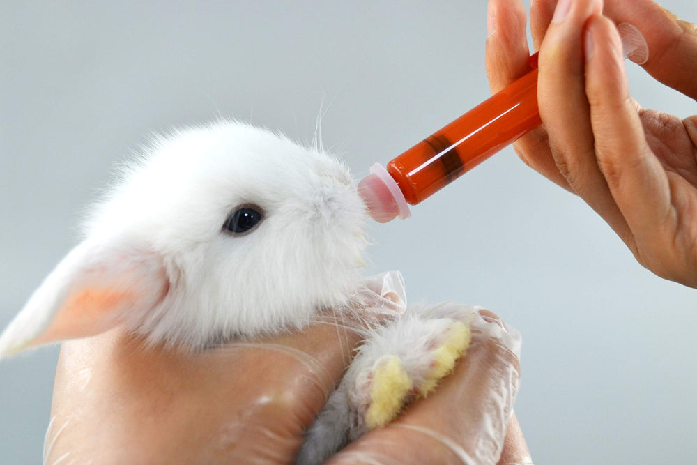 SHAOTONG 60ml pet bottle provides enough volume for longer sessions.