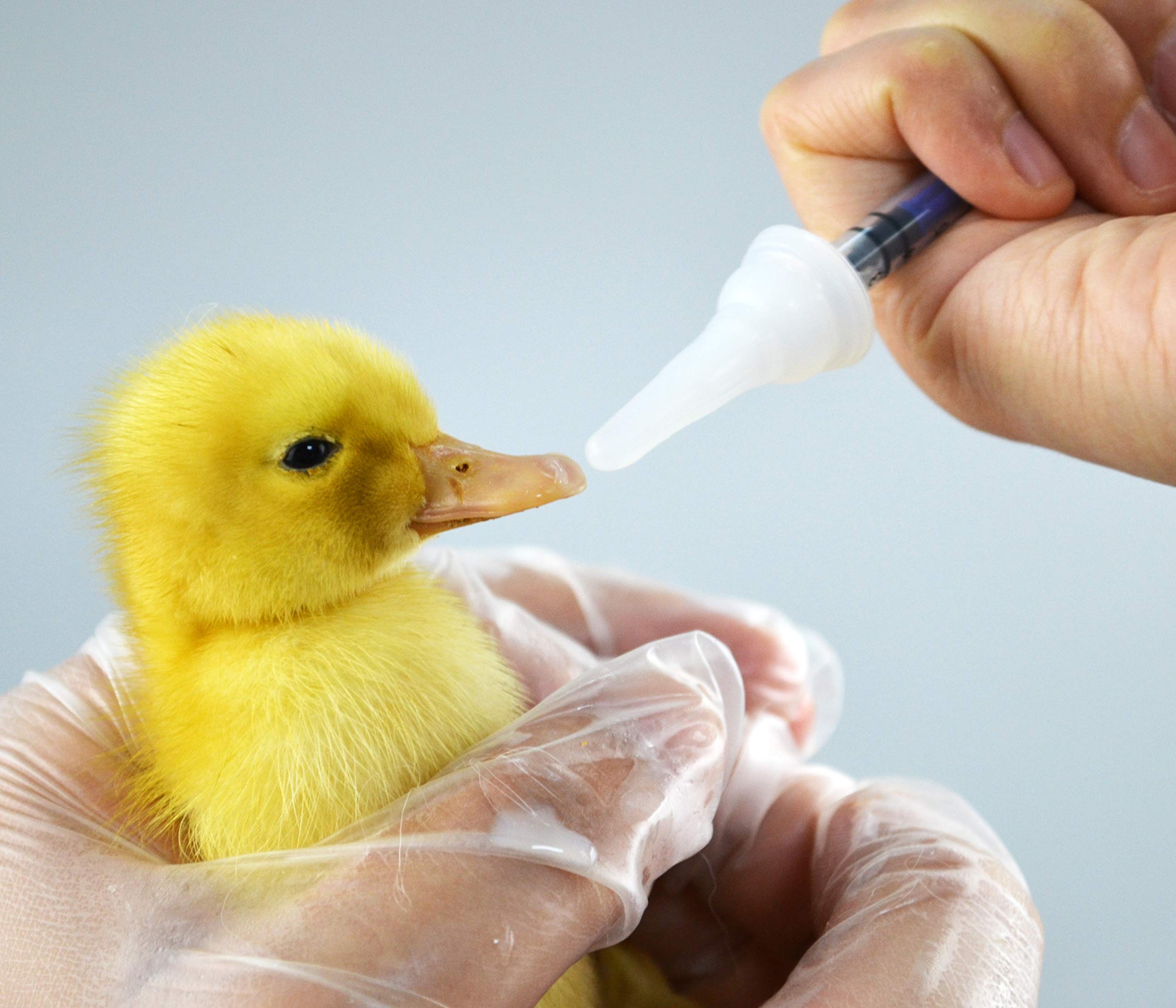 SHAOTONG silicone nipples of varying sizes support gentle feeding and comfort.