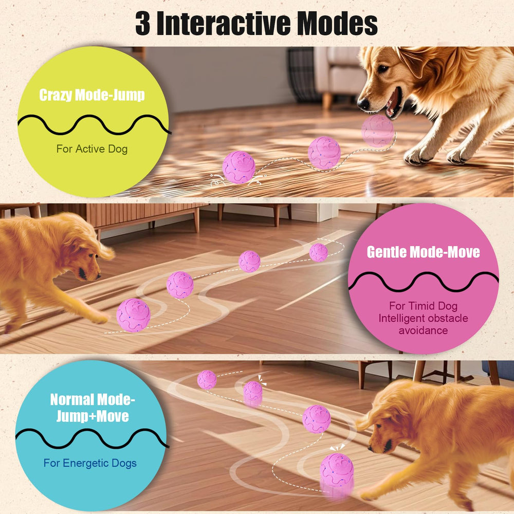 Shapana Interactive Dog Ball action shot demonstrates automatic moving and engaging bounce.