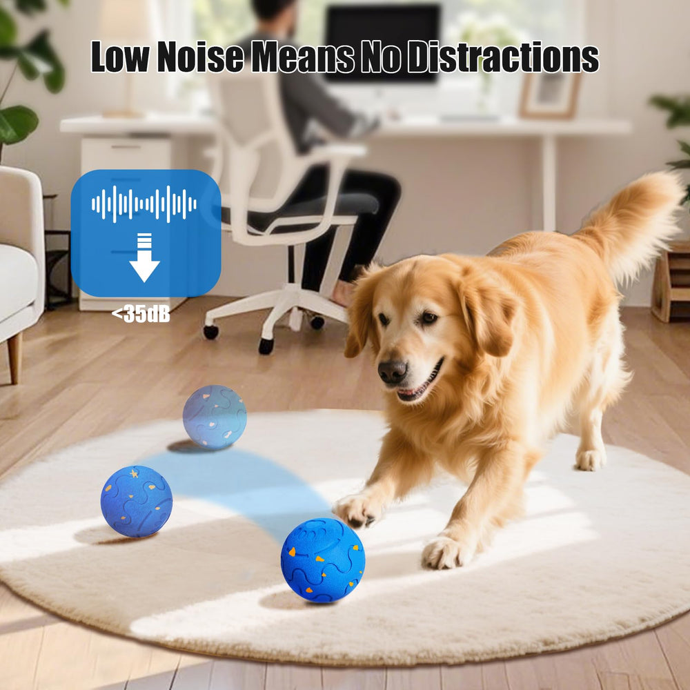 Shapana ball prompts movement for medium to large dogs during daily fun.