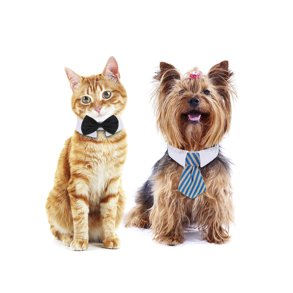 Shappy adjustable neck tie feature ensures a perfect fit on small to medium pets.