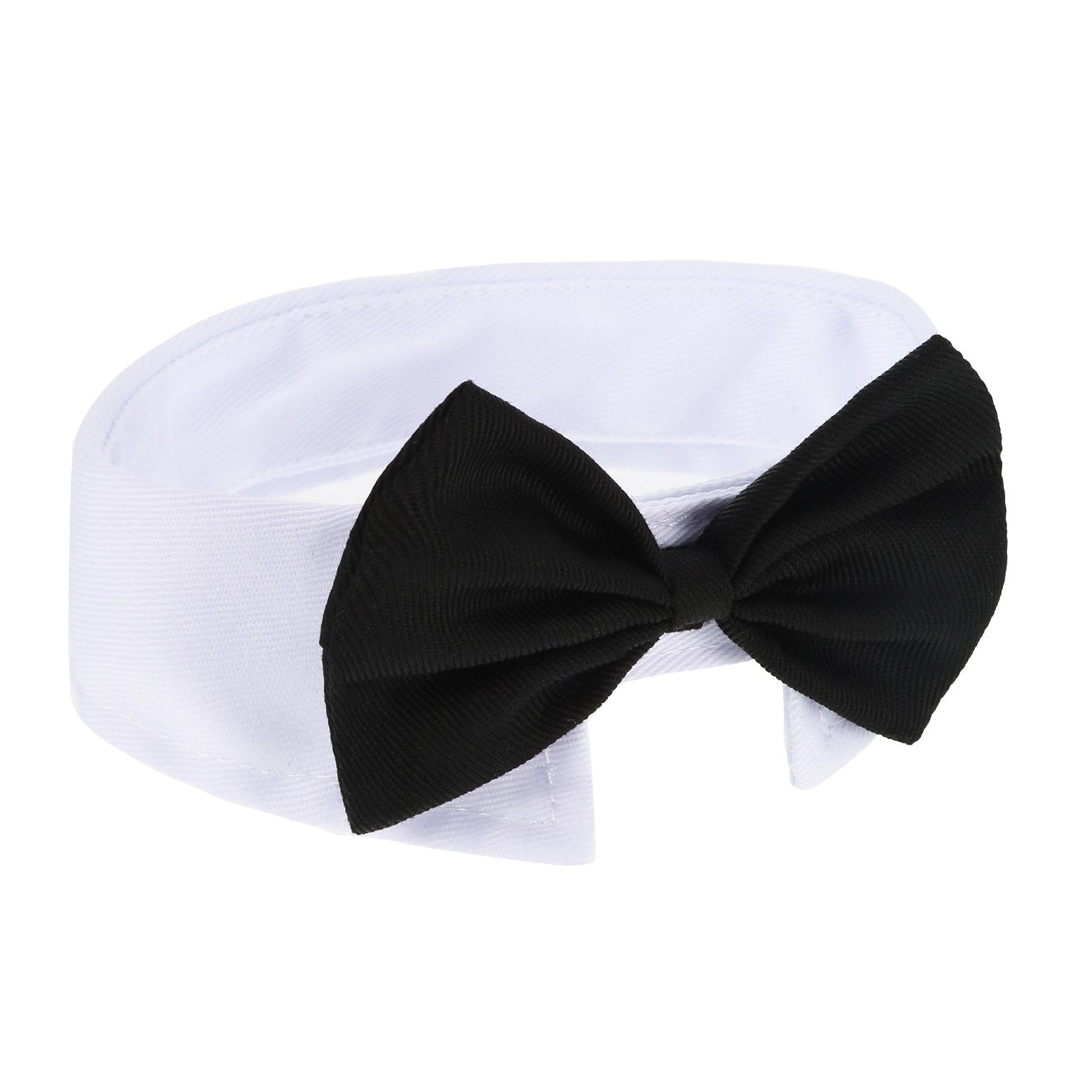 Shappy daily life pet accessory ideal for grooming and cute moments.