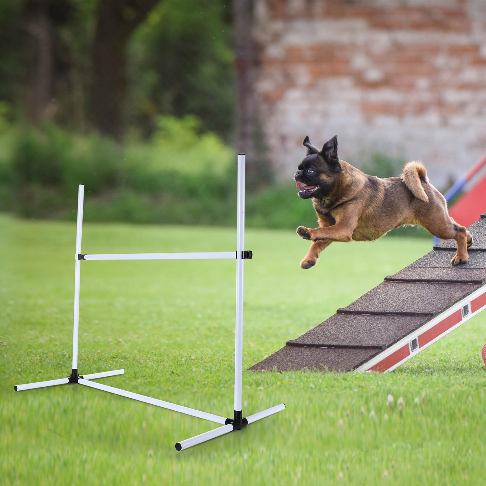 Shappy dog agility gear with smooth edges for safer jumping.
