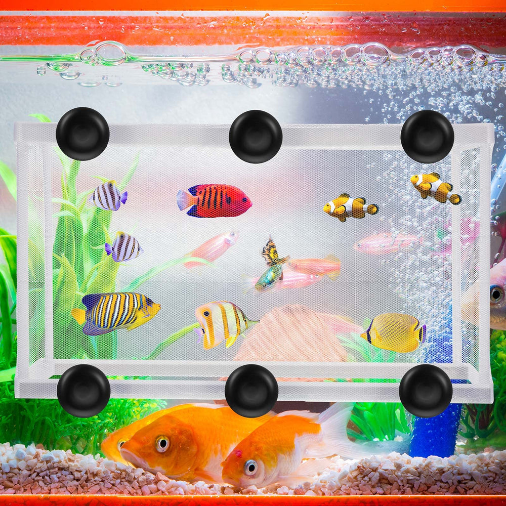 Shappy hatchery box features small holes for safe isolation of fry.