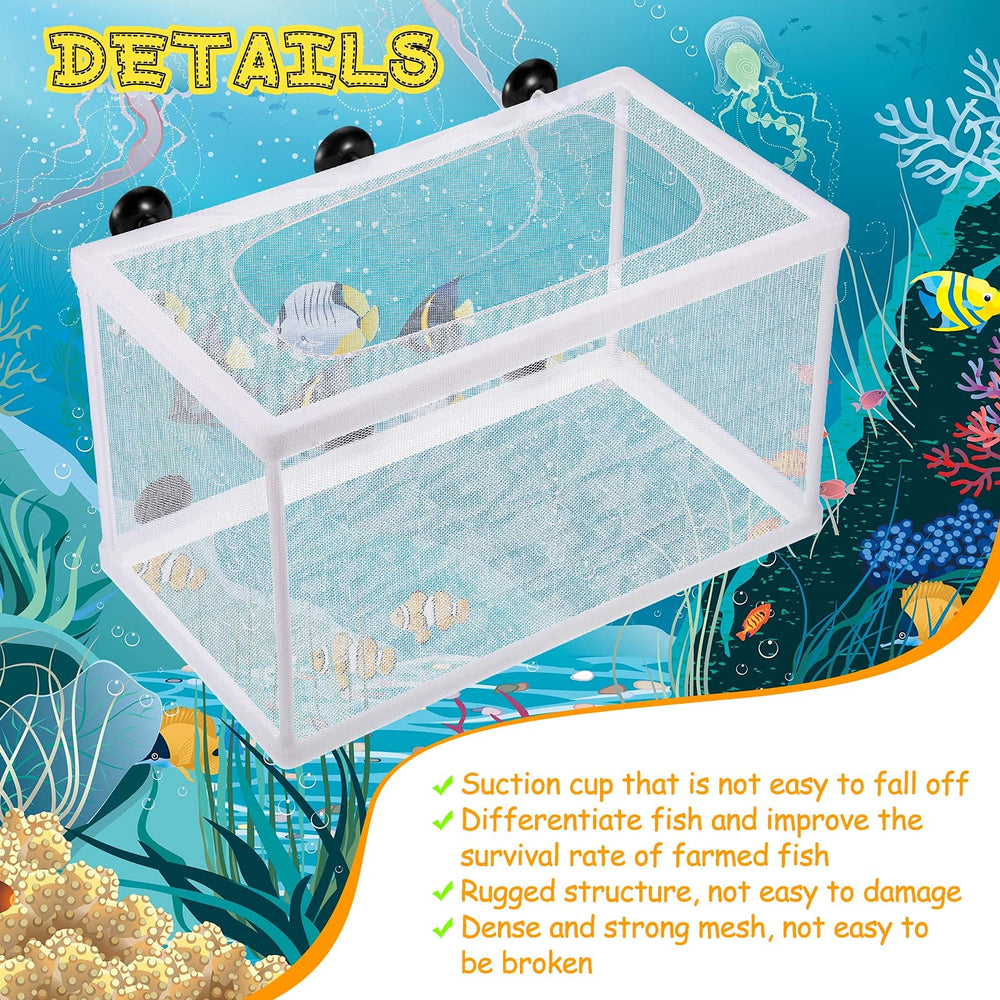 Shappy juvenile fry isolation box helps protect newborns from aggression.
