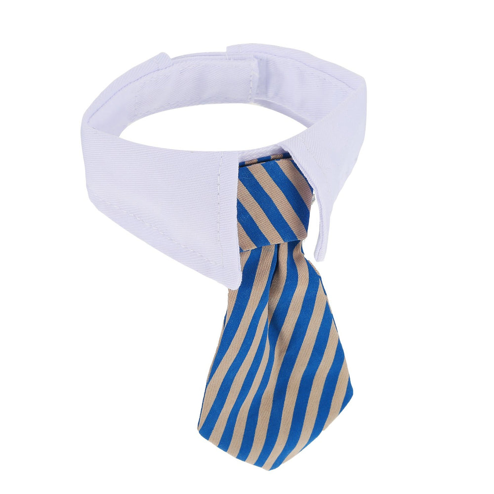 Shappy pet photoshoot bow-tie captures charming, gentle styling.