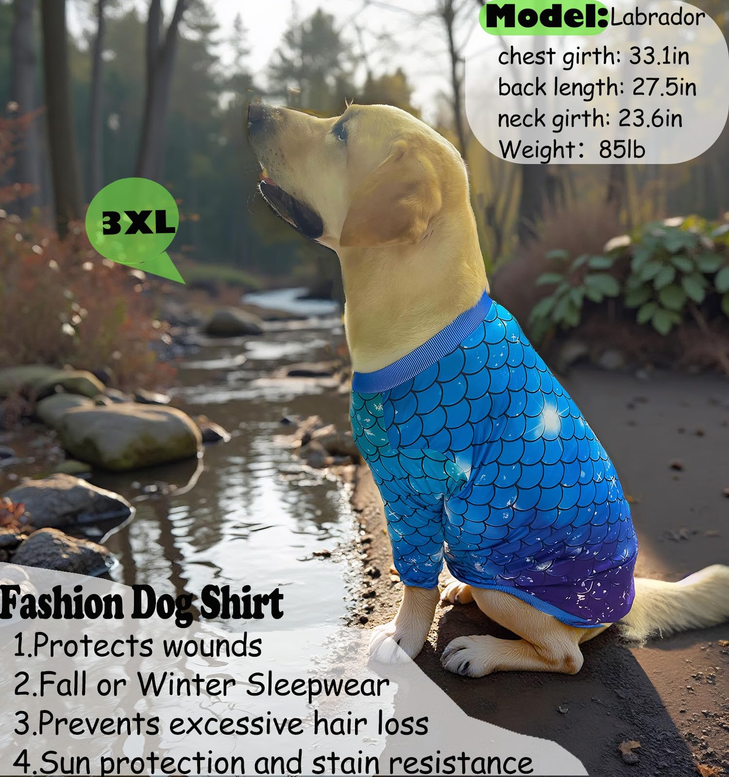 Sharkwill dog shirt summer-palmtree style adds tropical flair to daily wear
