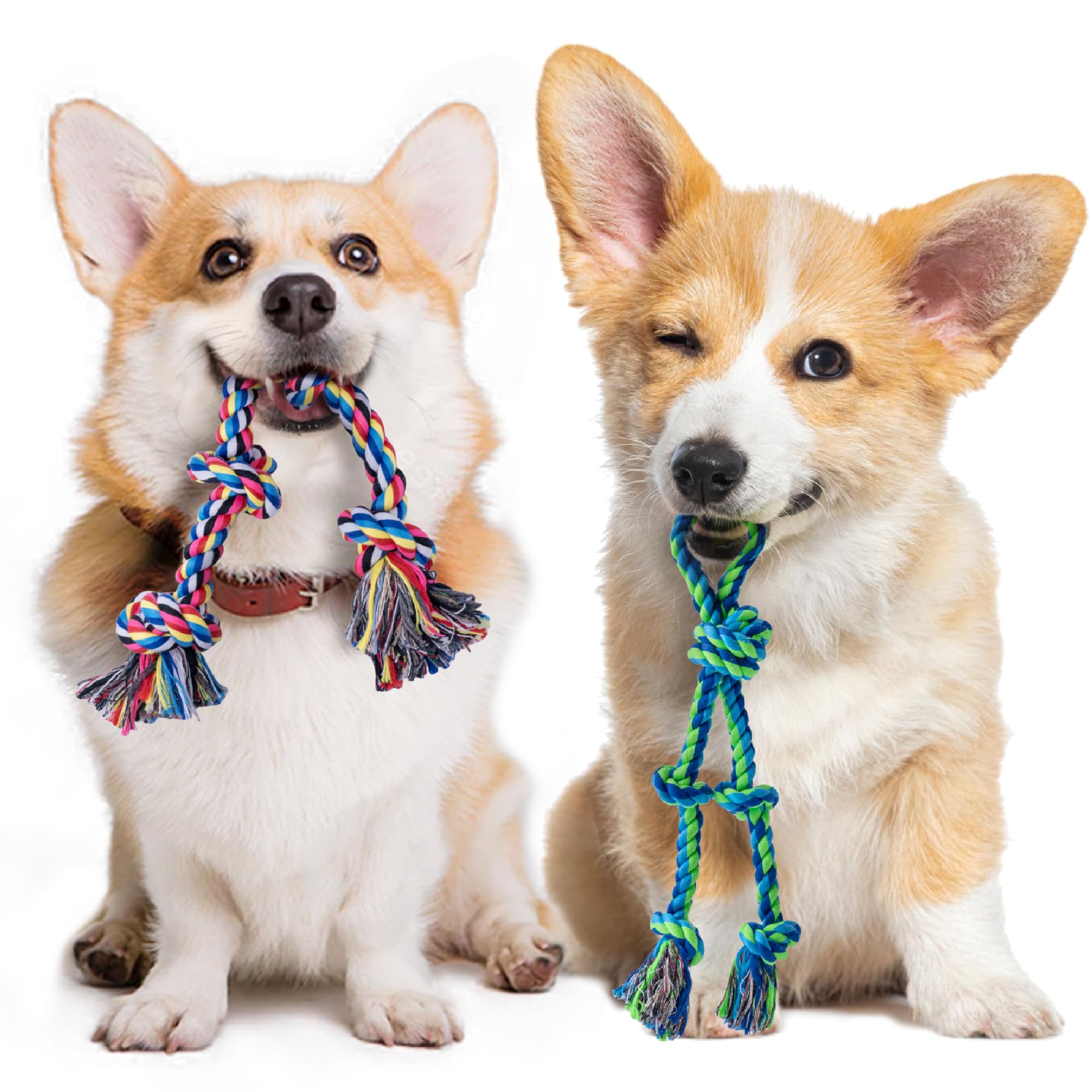 SHARLOVY 2Pack small dog rope toy set front view for interactive play and teething relief.