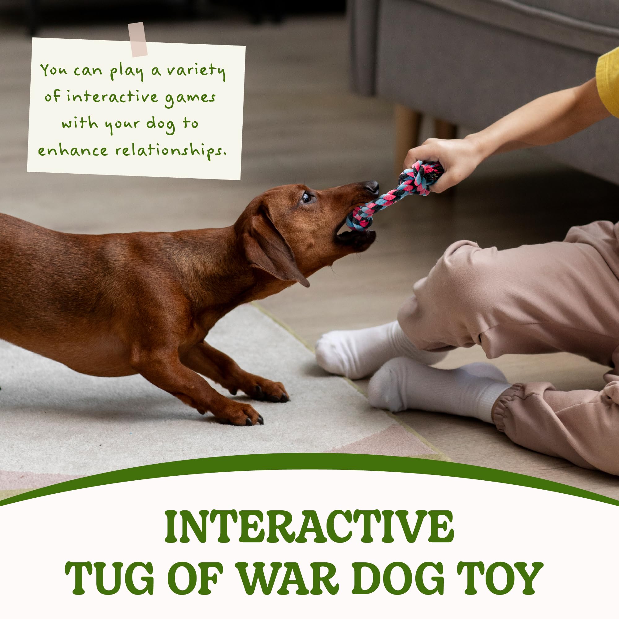 SHARLOVY aggressive-chewer rope keeps dogs entertained and focused.